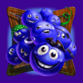 Blueberries